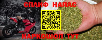 гидра Можга